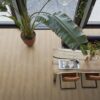 Parramatta SRC natural oak PVC-Klik - Afbeelding 4
