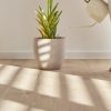 Coretec Naturals Forest PVC-Klik - Afbeelding 2