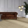 Vivafloors Visgraat XL 8520 PVC-Plak - Afbeelding 2
